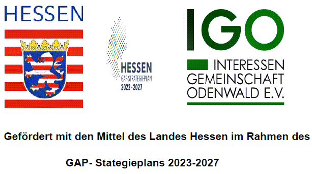 igo foerderung spuelmaschine 2025