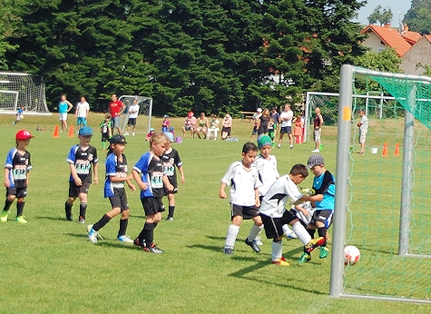 turnier lw2014 g erlenbach tor 01