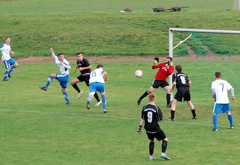 11 umstadt kurek tor 0 3