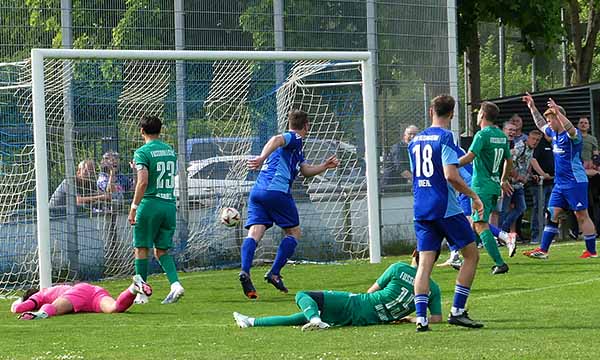 31 alsbach max raitz tor